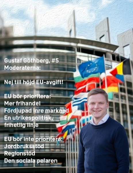 Stoppa höjningen: Gustaf Göthberg, #5 Moderaterna